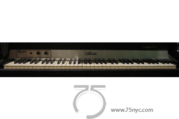 Enlarged view of image